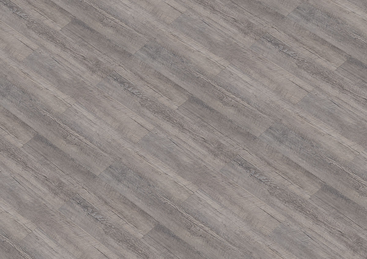 RS-click 30143-1 Borovice mediterian