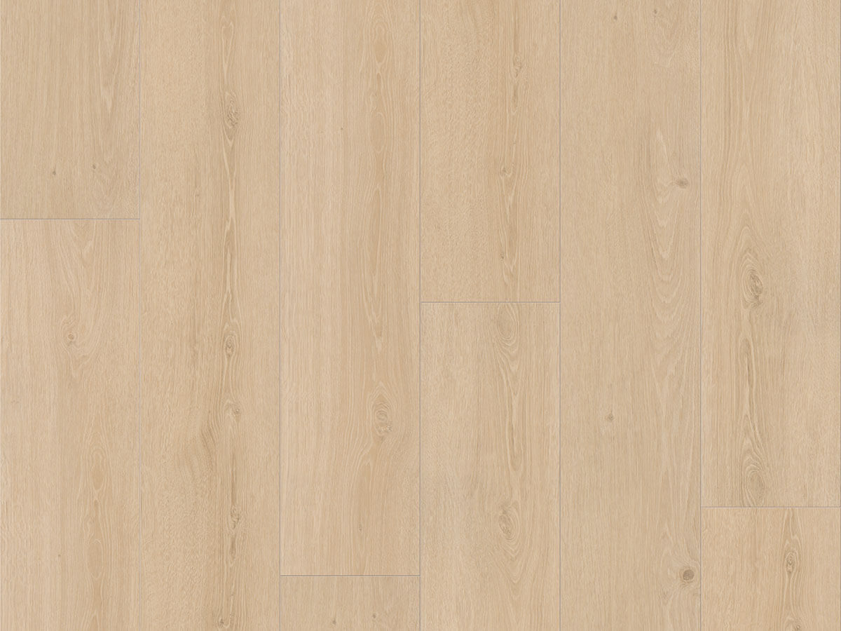 Basic 30 Dub Studioline broušený 1601336