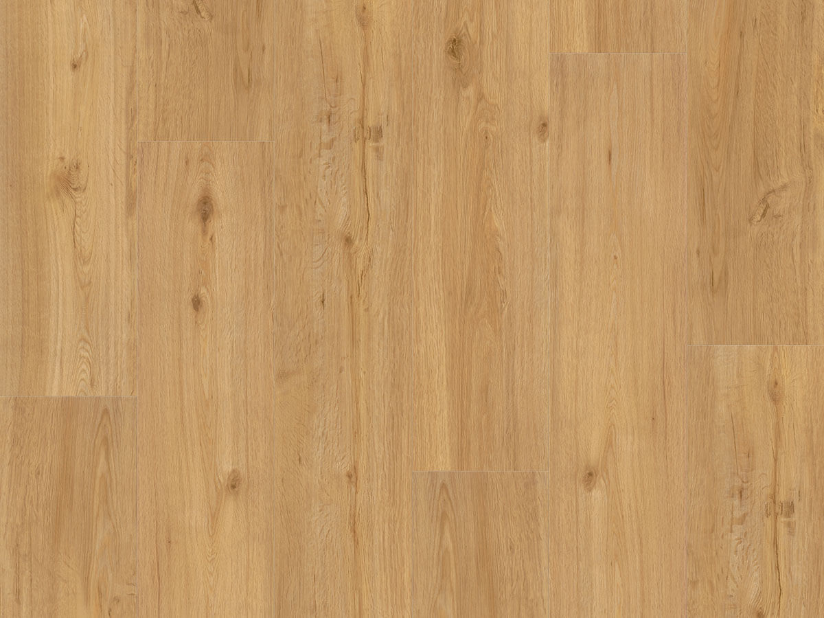 Basic 30 Dub přírodní 1649299