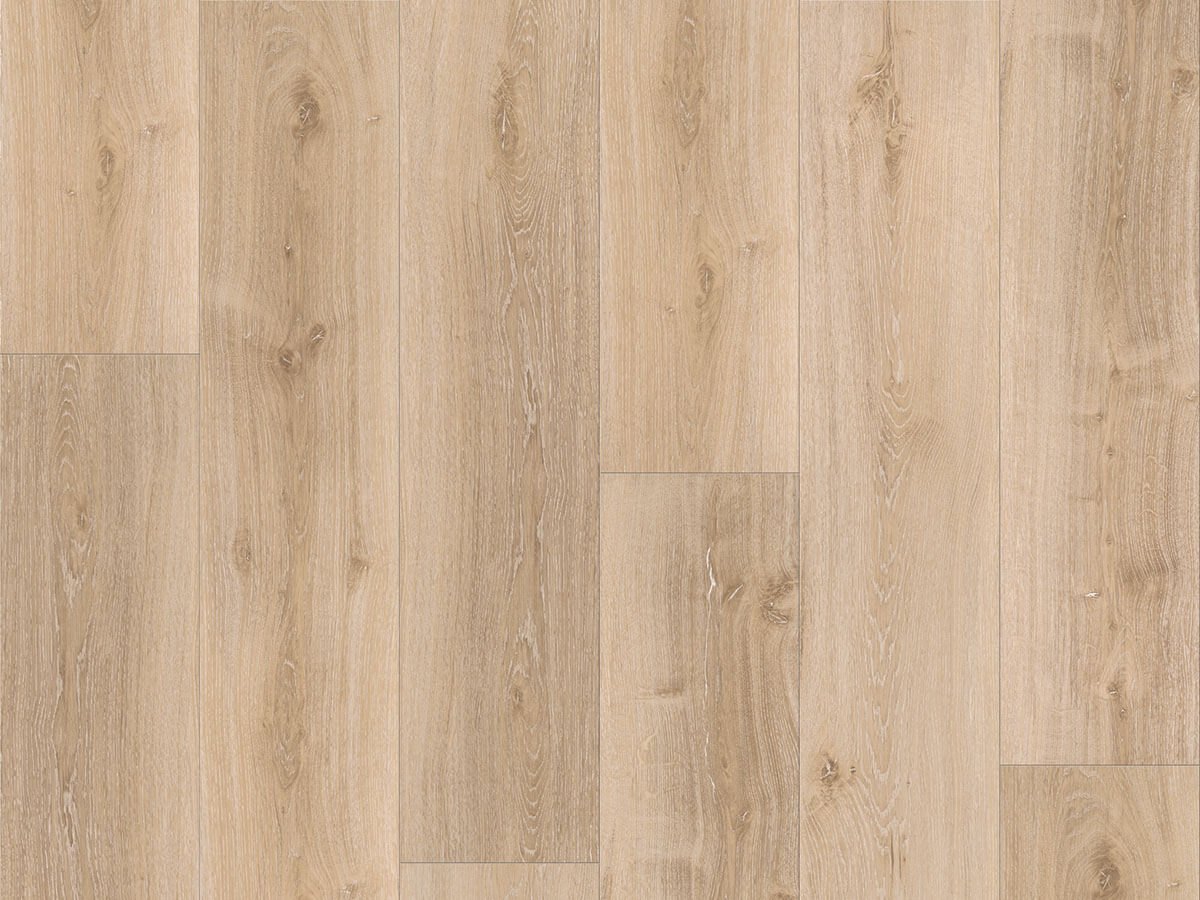 Basic 30 Dub Royal světle bělený 1604831
