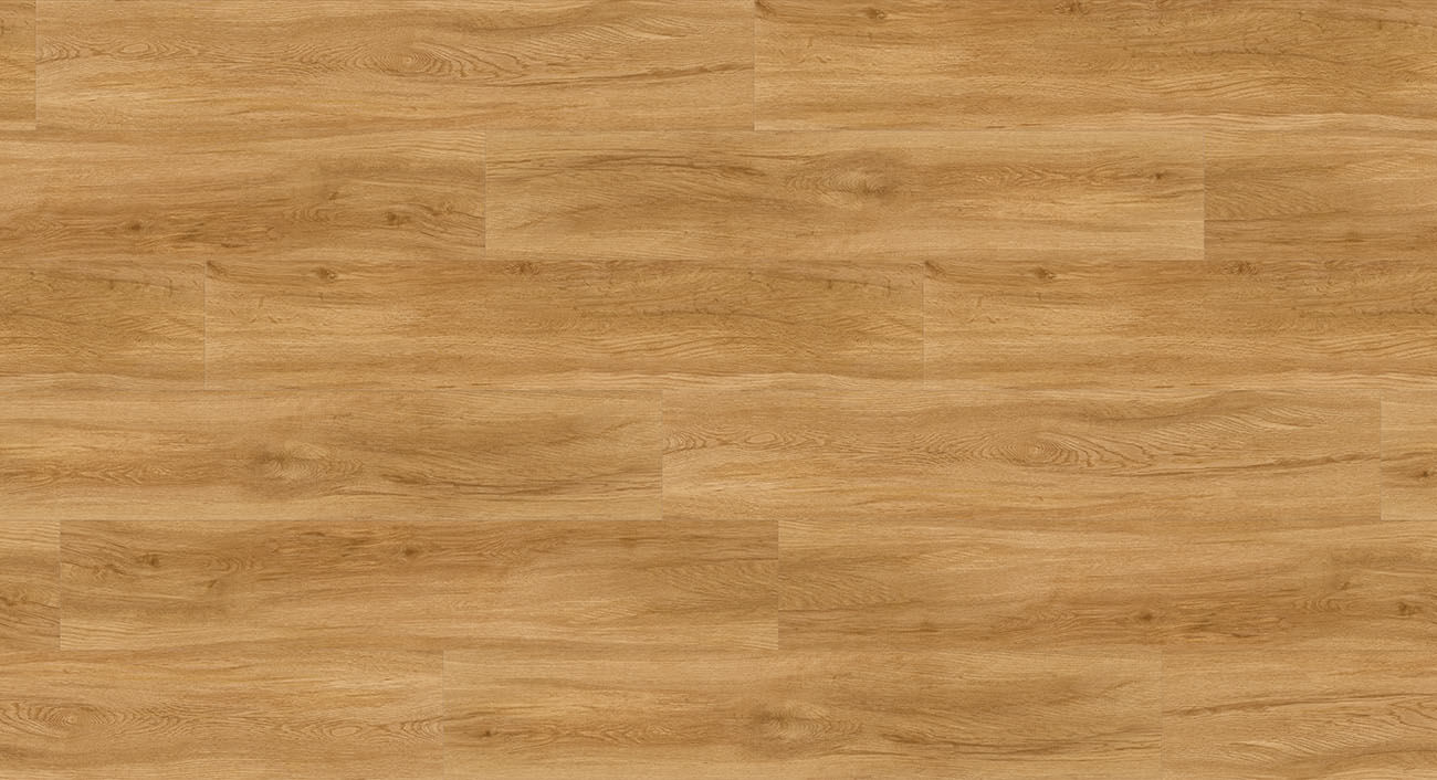 Basic 2.0 Dub Sierra přírodní 1730791