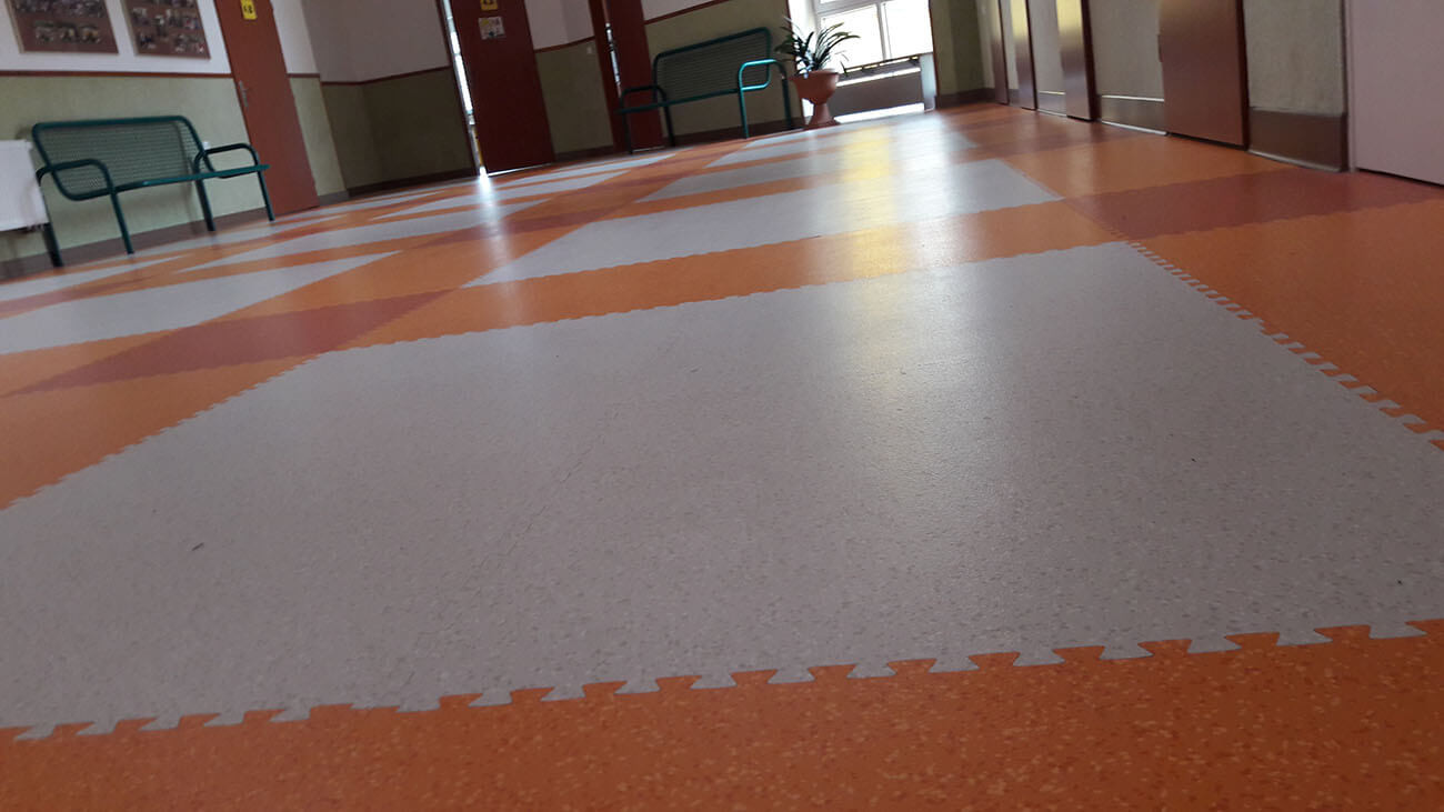 Attraction 8157 goias