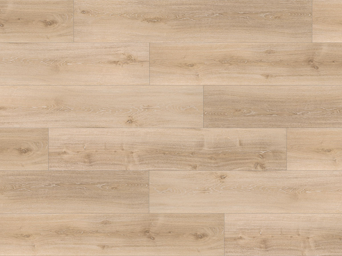 Basic 30 Dub Royal světle bělený 1604831