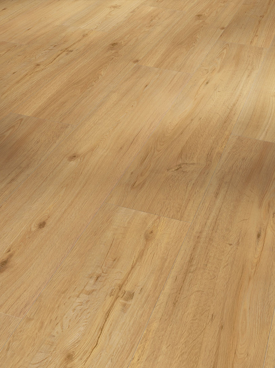 Basic 2.0 Dub přírodní 1730779