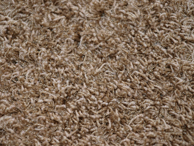 Bugatti Exclusive 08