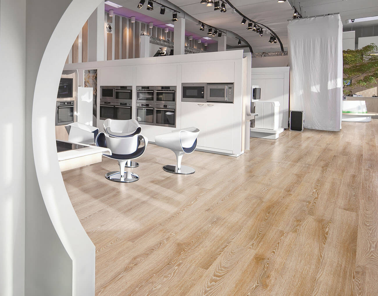 Primero 22837 Evergreen oak