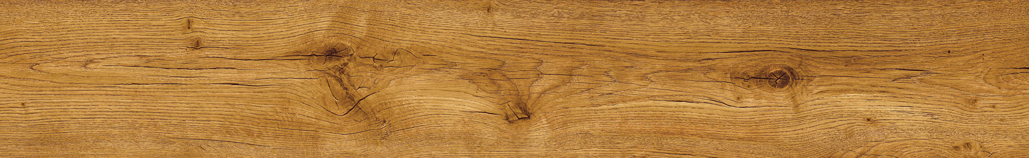 Primero 24847 Major oak