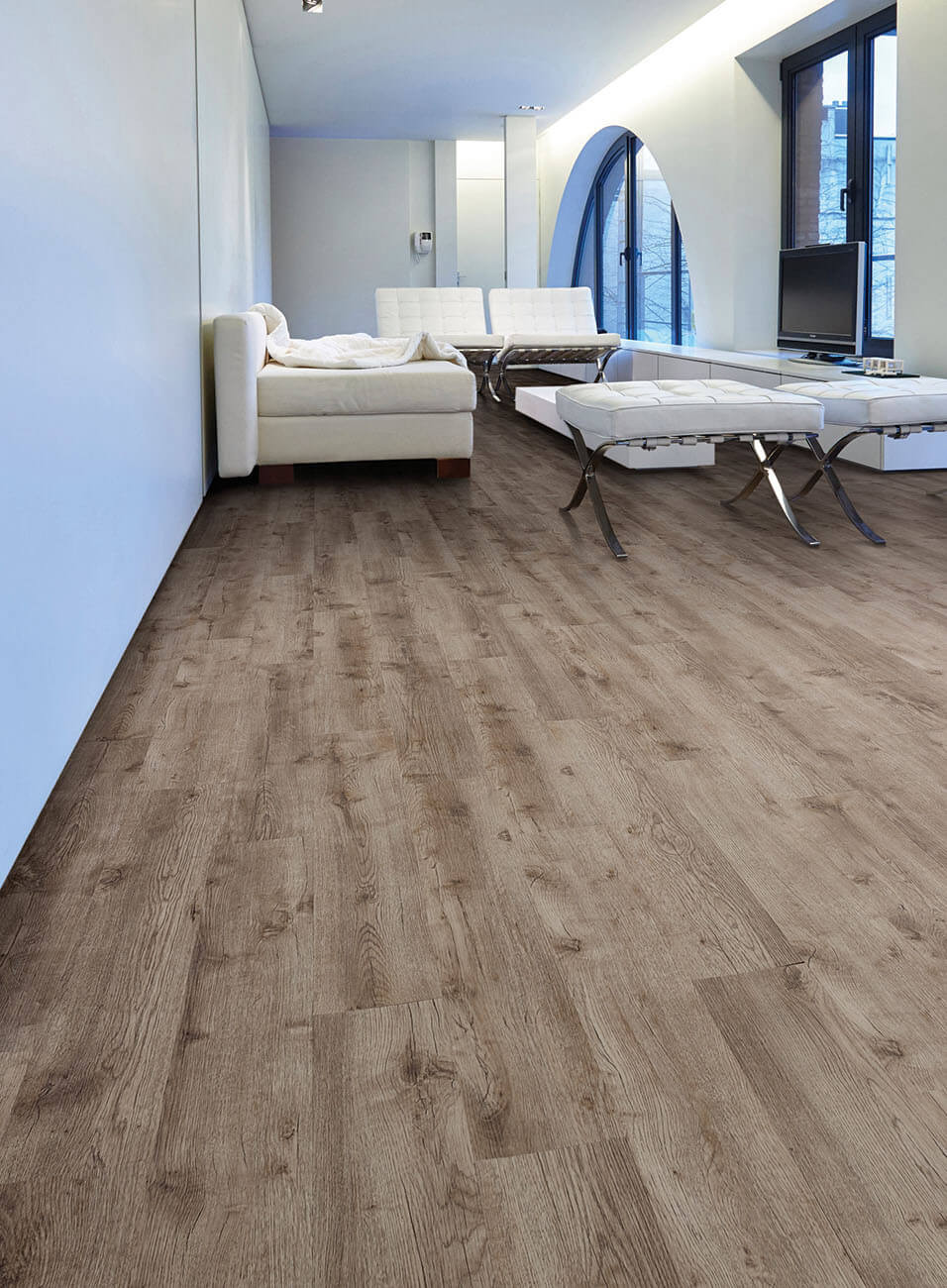 Primero 24856 Major oak