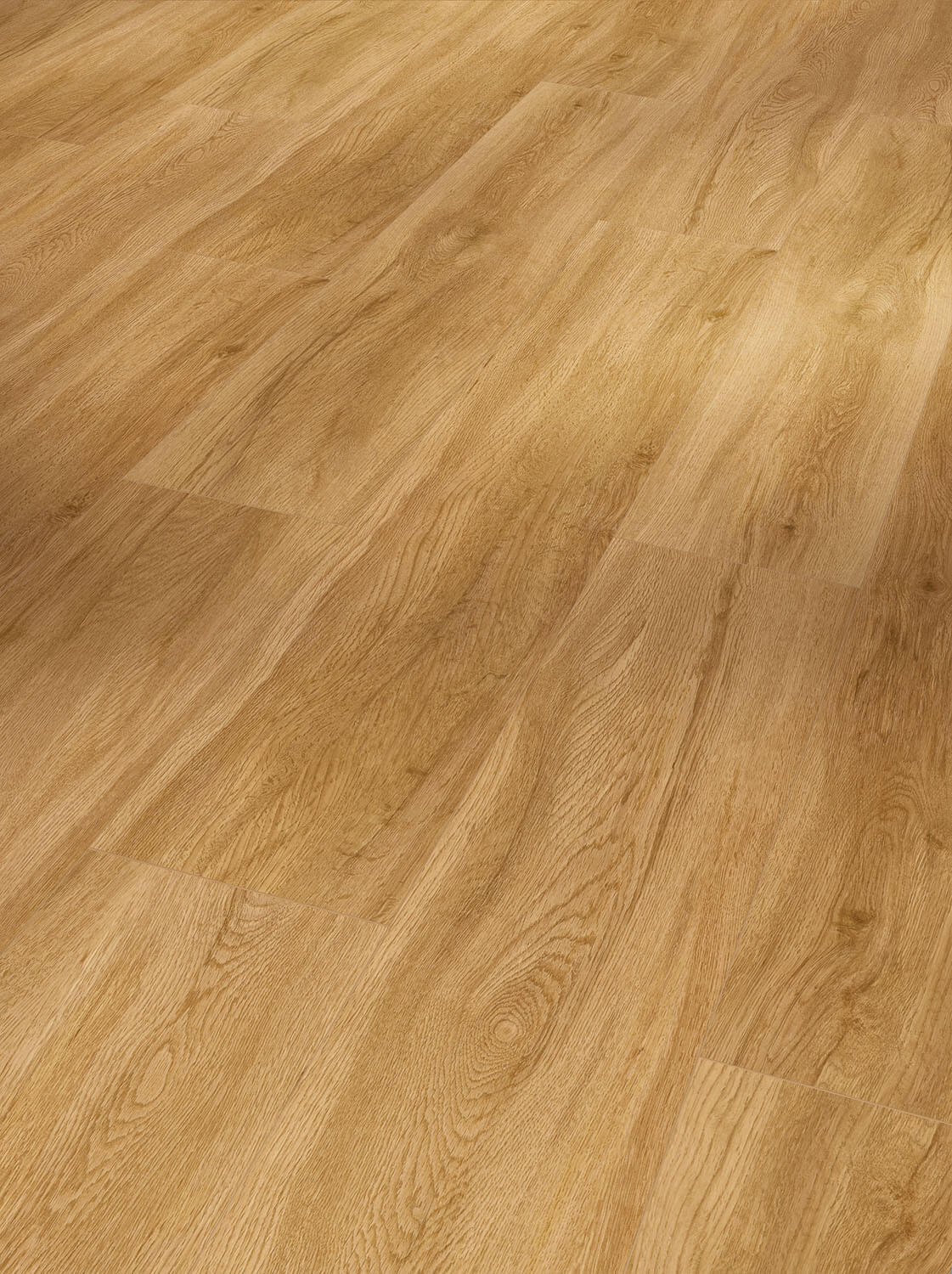 Basic 5.3 Dub Sierra přírodní 1743007