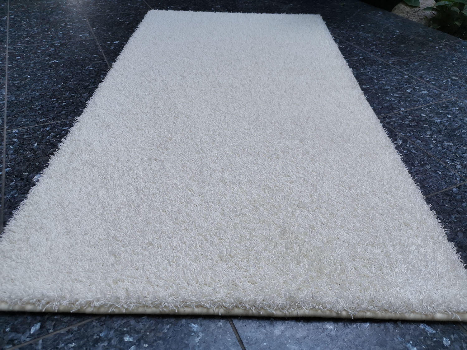 Vivaldi Exclusive 10