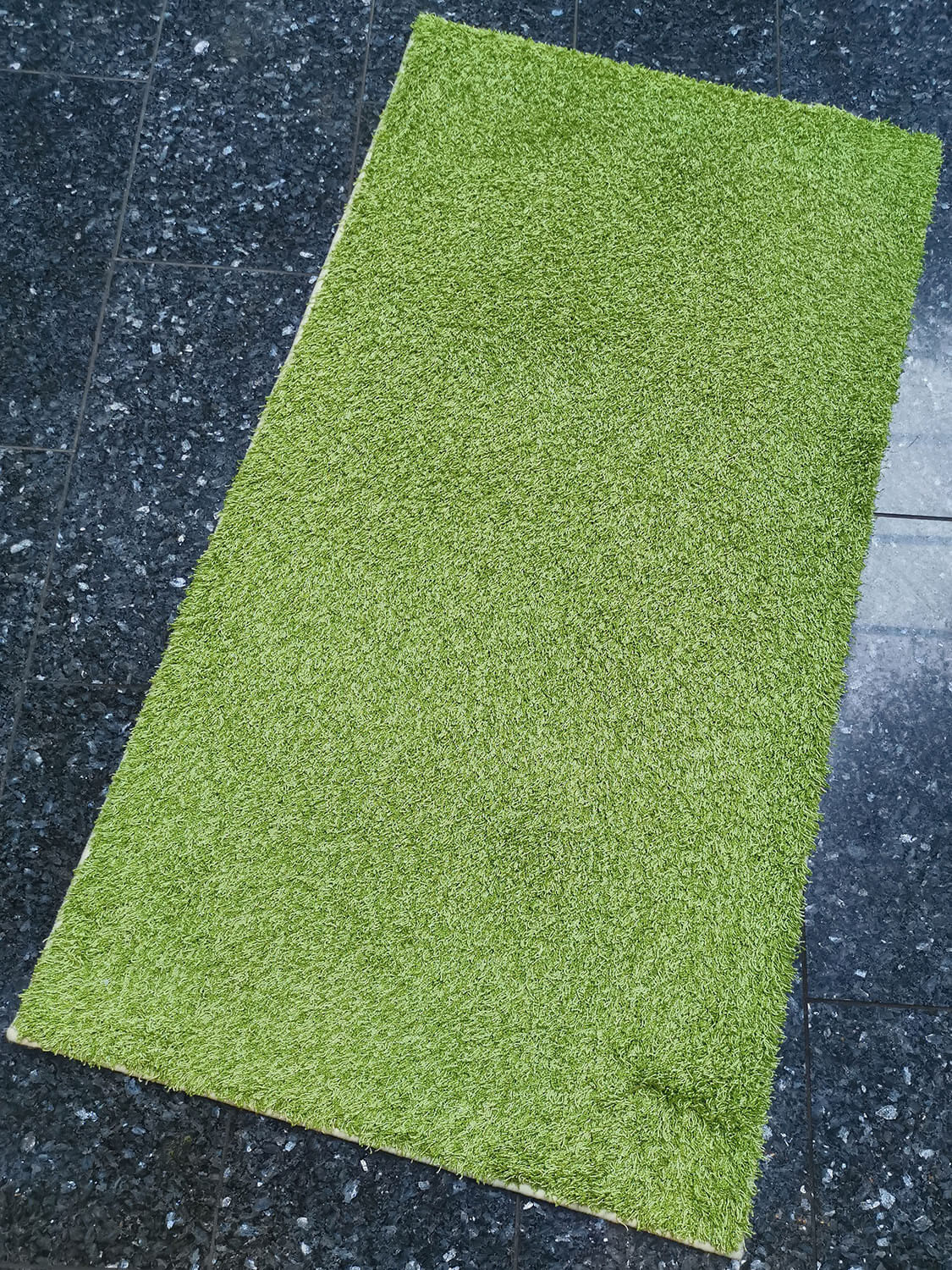 Vivaldi Exclusive 24