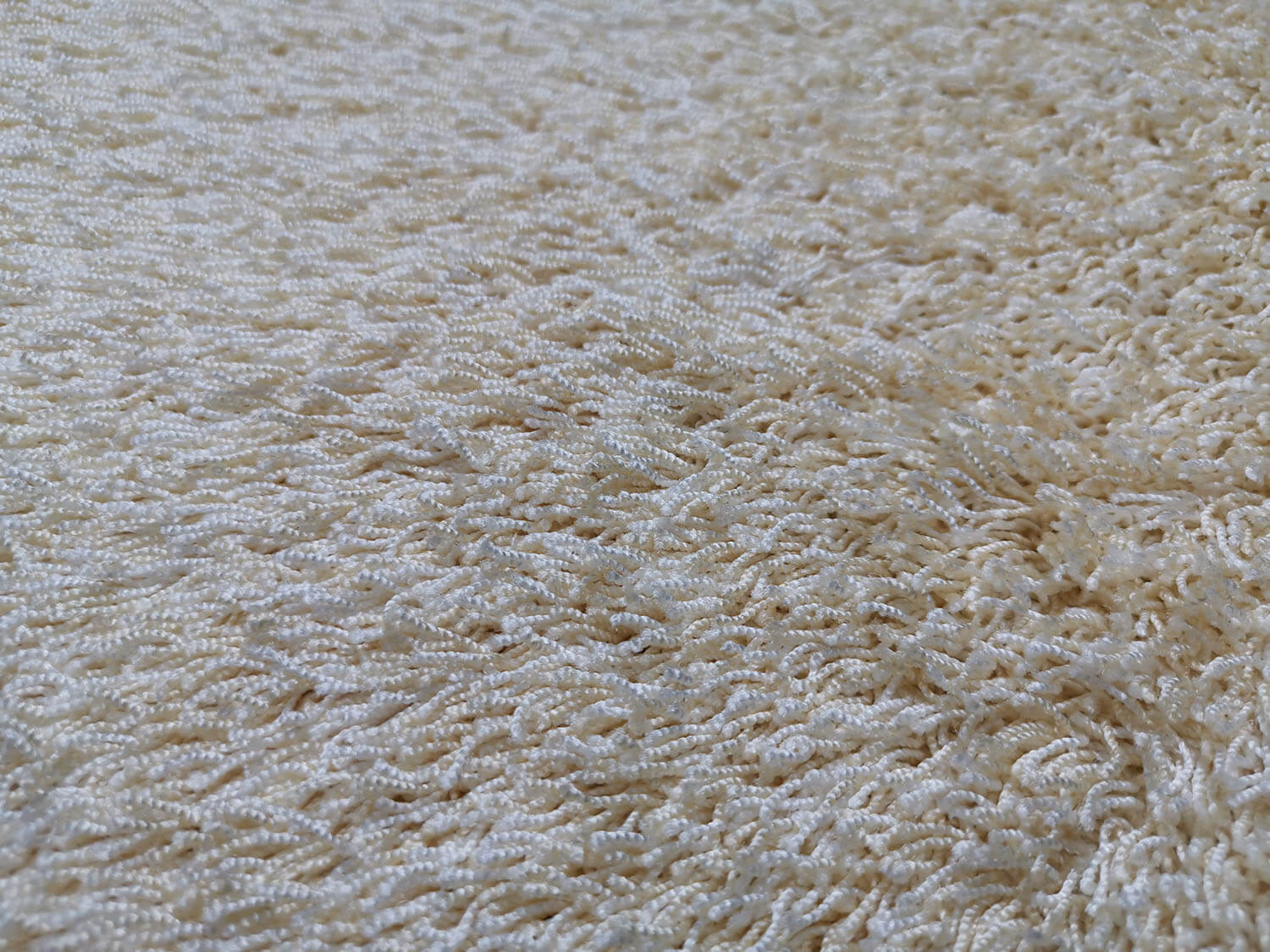 Vivaldi exclusive 21