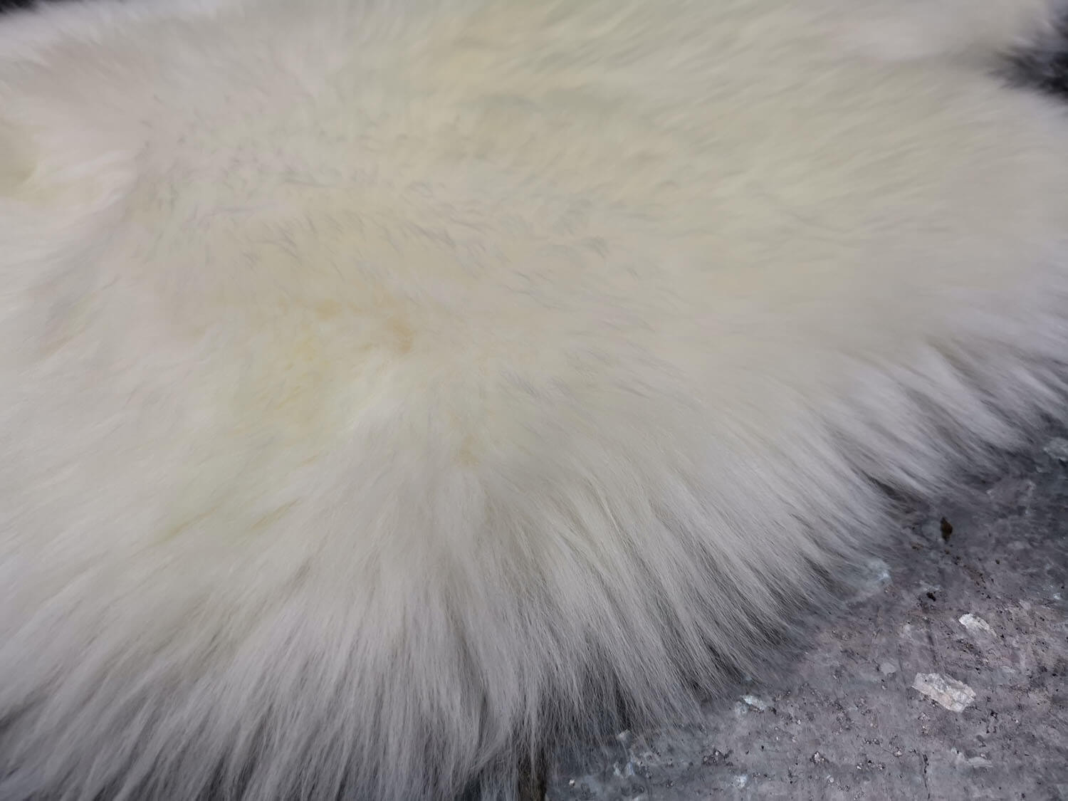 Bowron 1 dílný Gold star