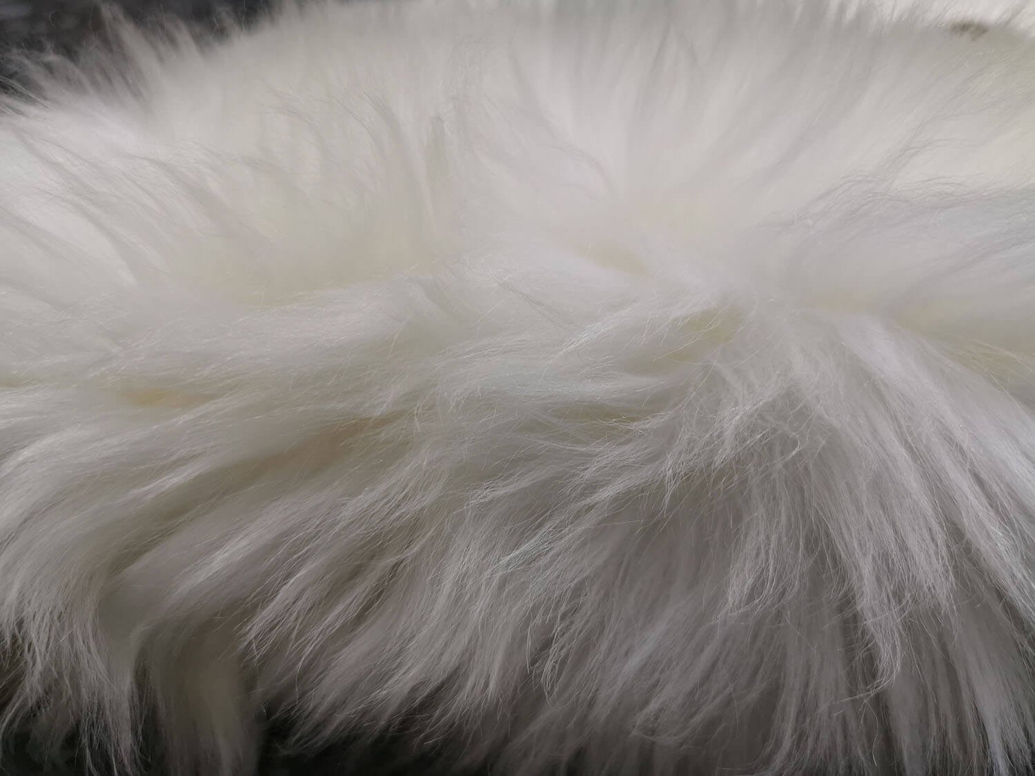 Bowron 6 dílný Gold star