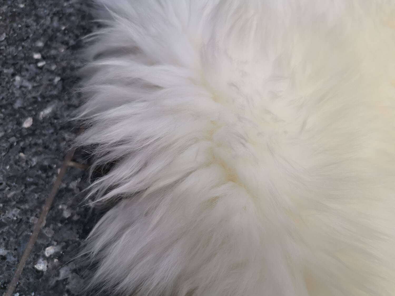 Bowron 6 dílný Gold star