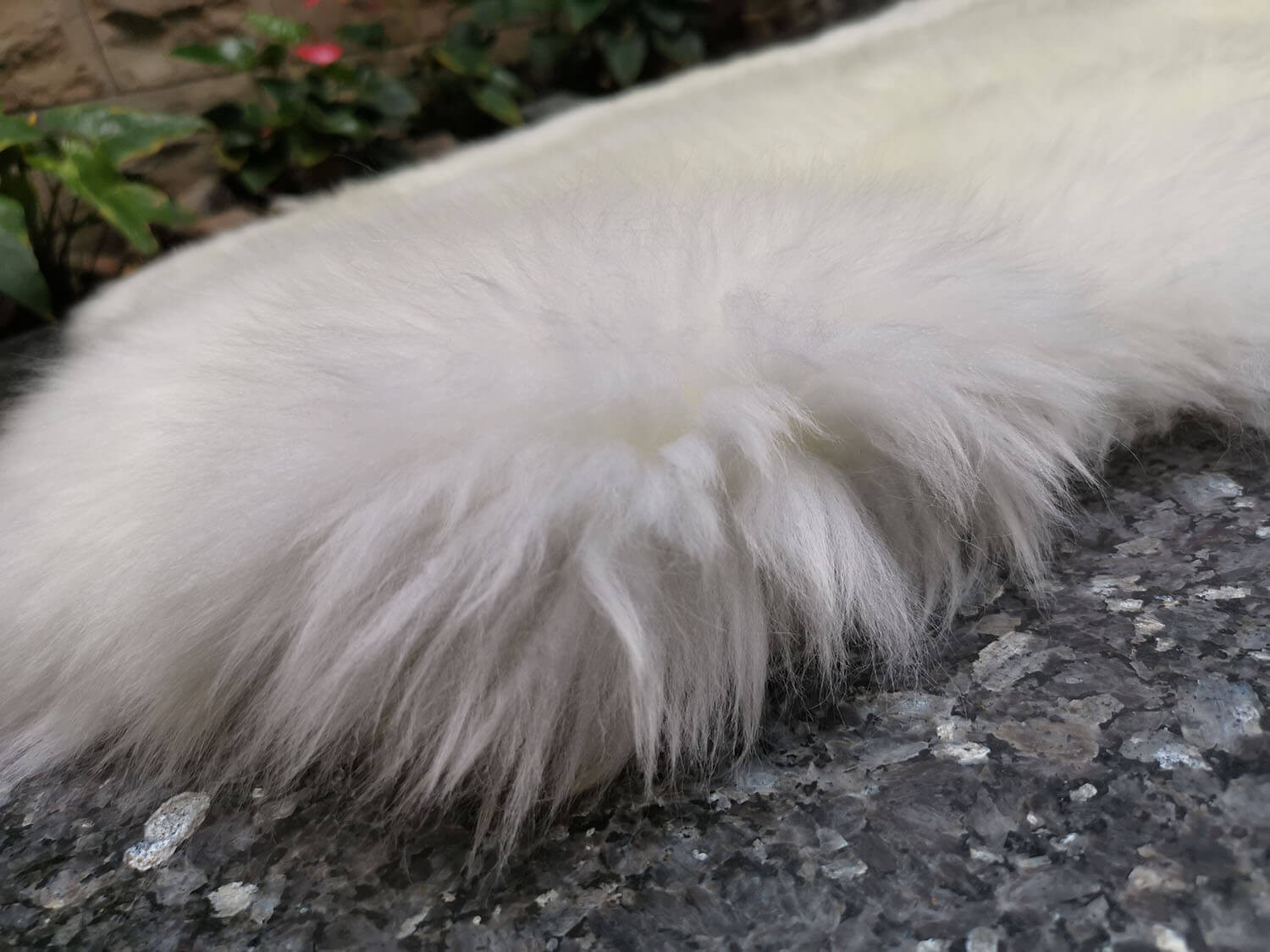 Bowron 4 dílný Gold star