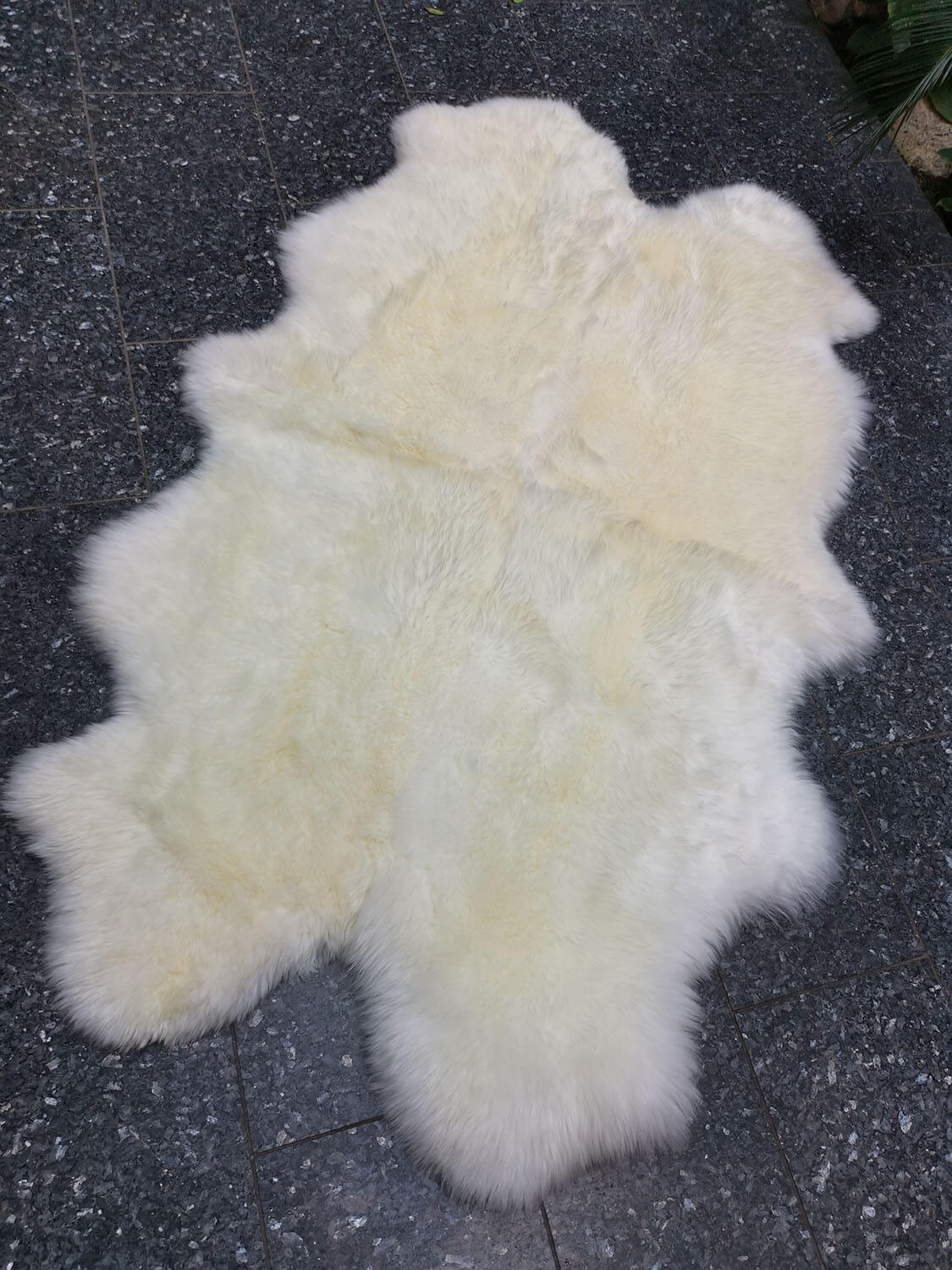 Bowron 4 dílný Gold star