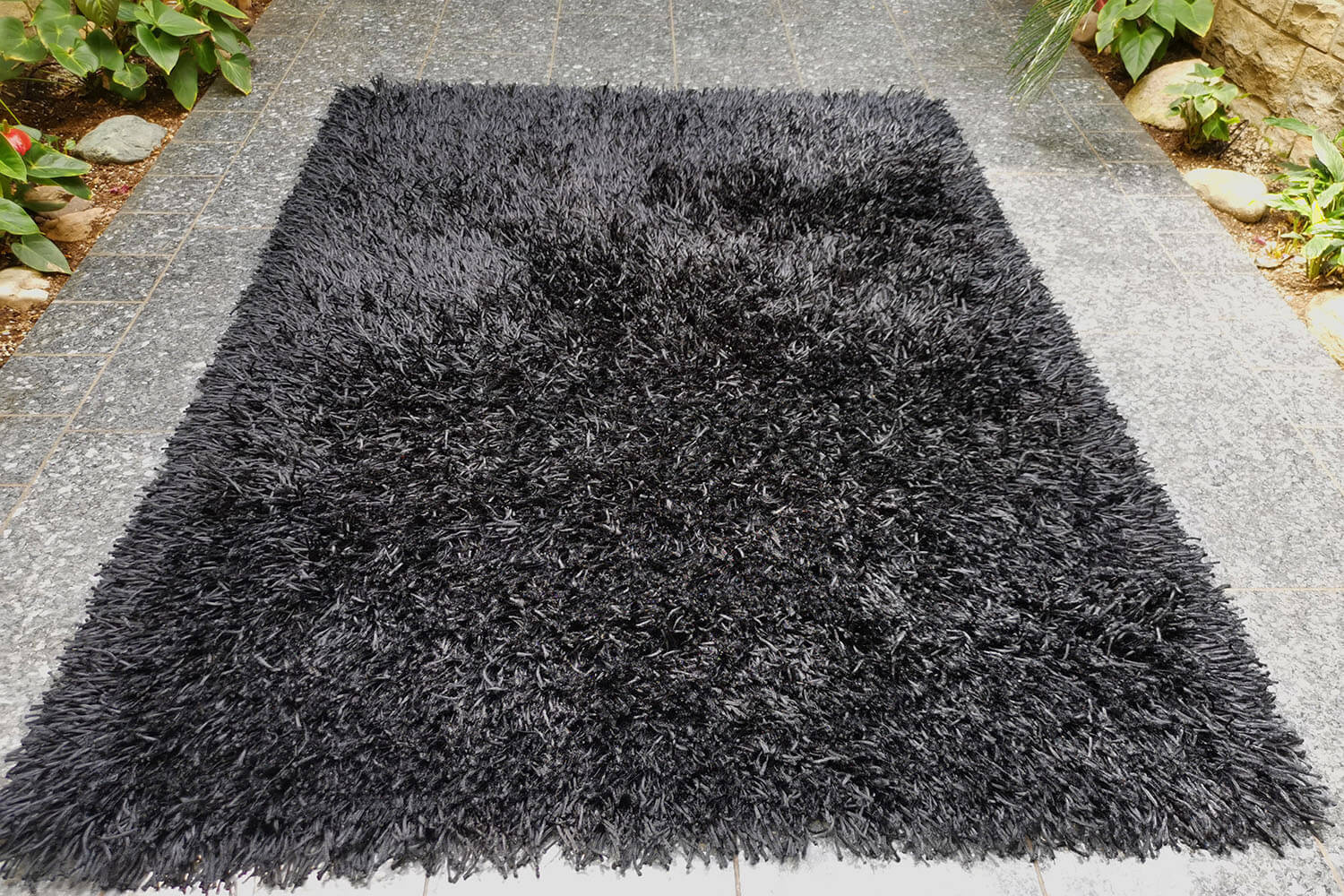 California CL004 black