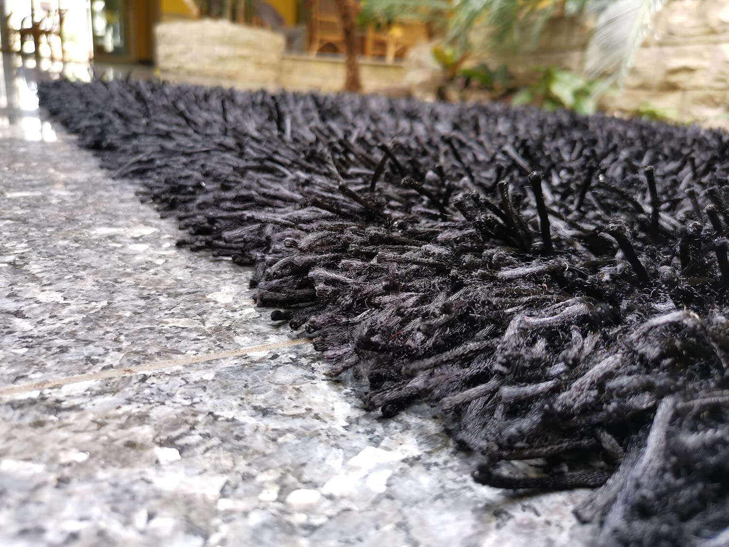 California CL004 black