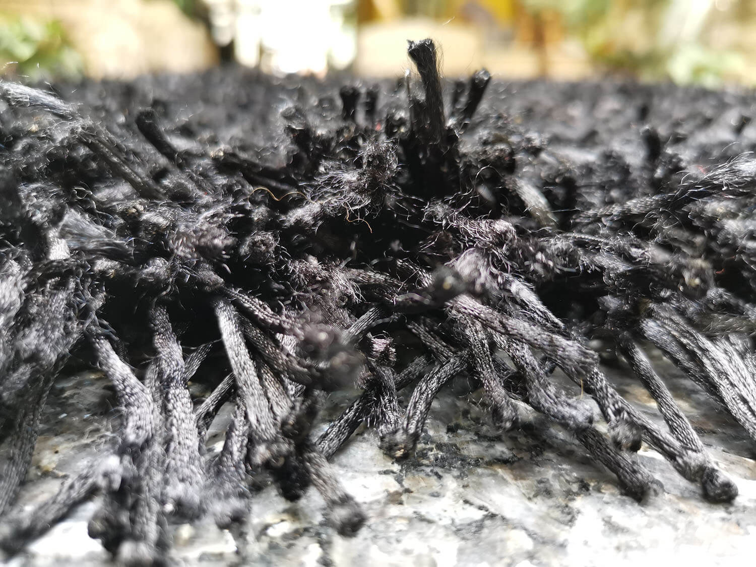 California CL004 black