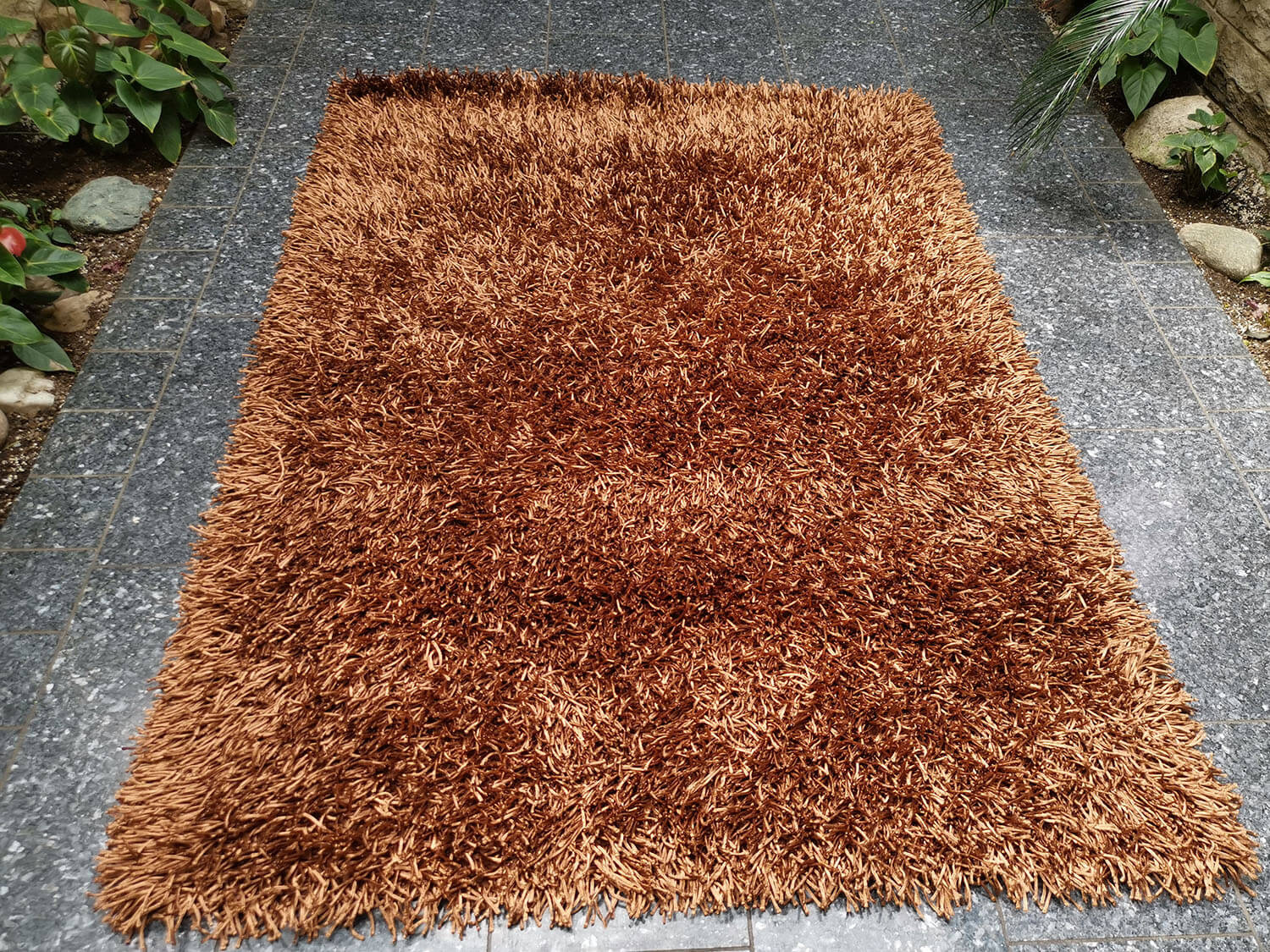 California CL011 brown