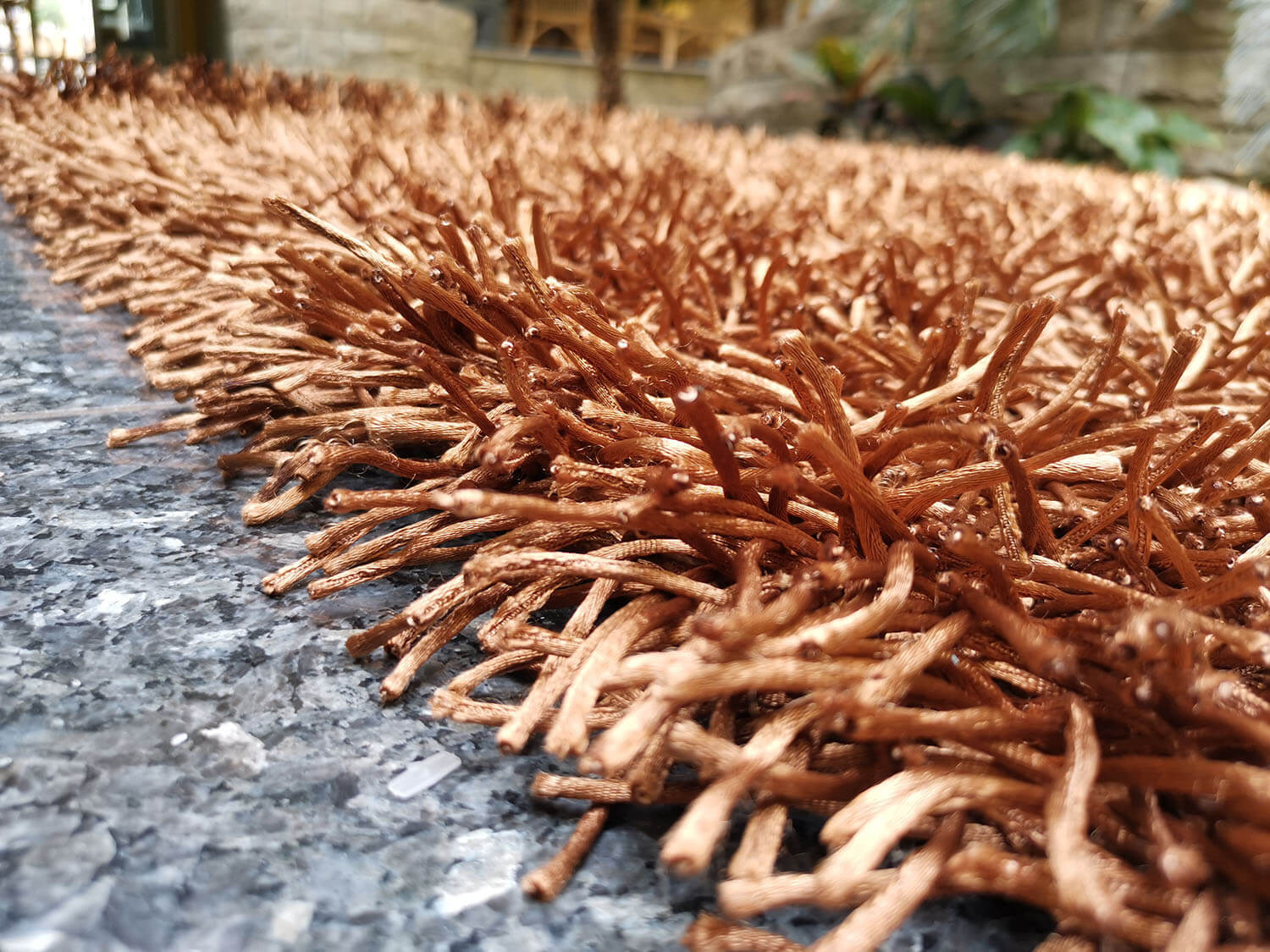 California CL011 brown