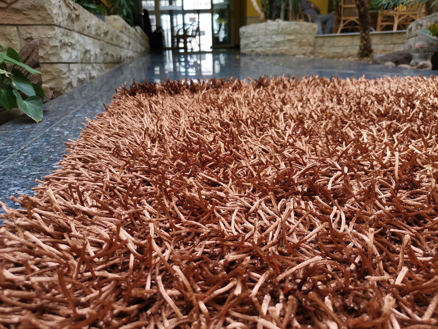 California CL011 brown