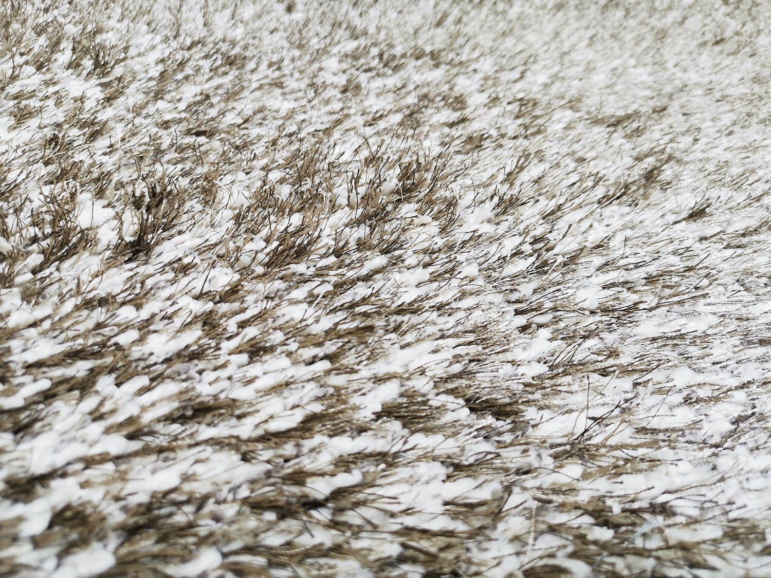 Limelight 22001-6600