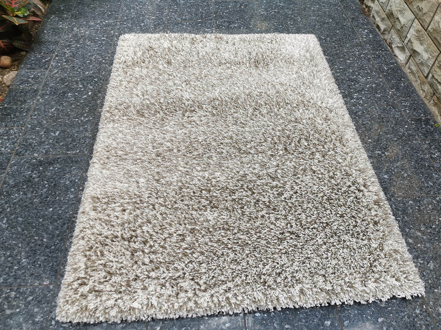 Limelight 22001-6600