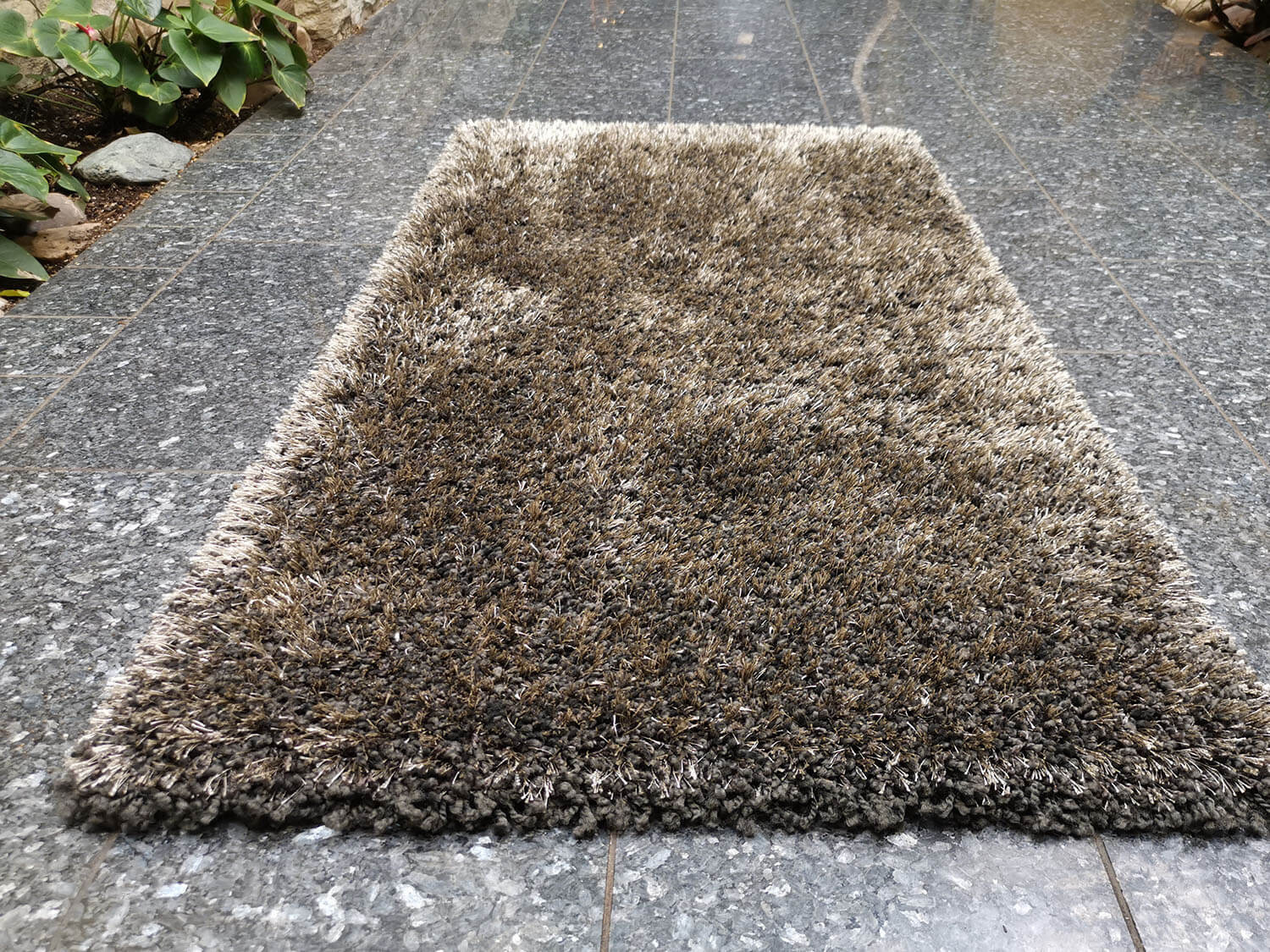 Limelight 22001-5500