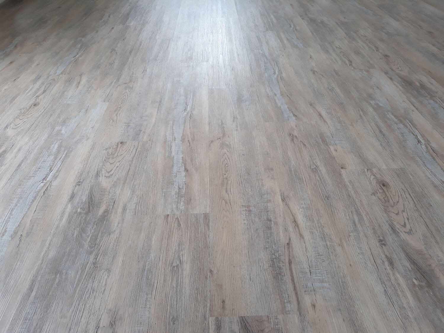 Rigid+ Dub kamencový EIR 9719