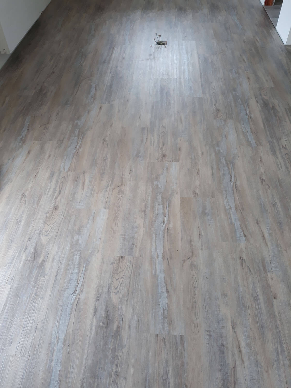 Rigid+ Dub kamencový EIR 9719