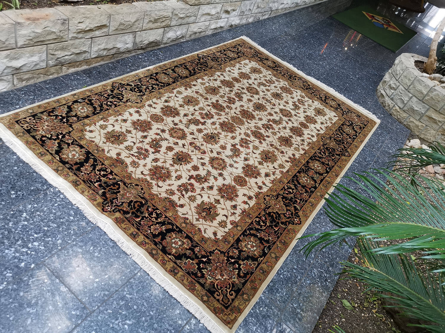 Caral 628 ivory - black