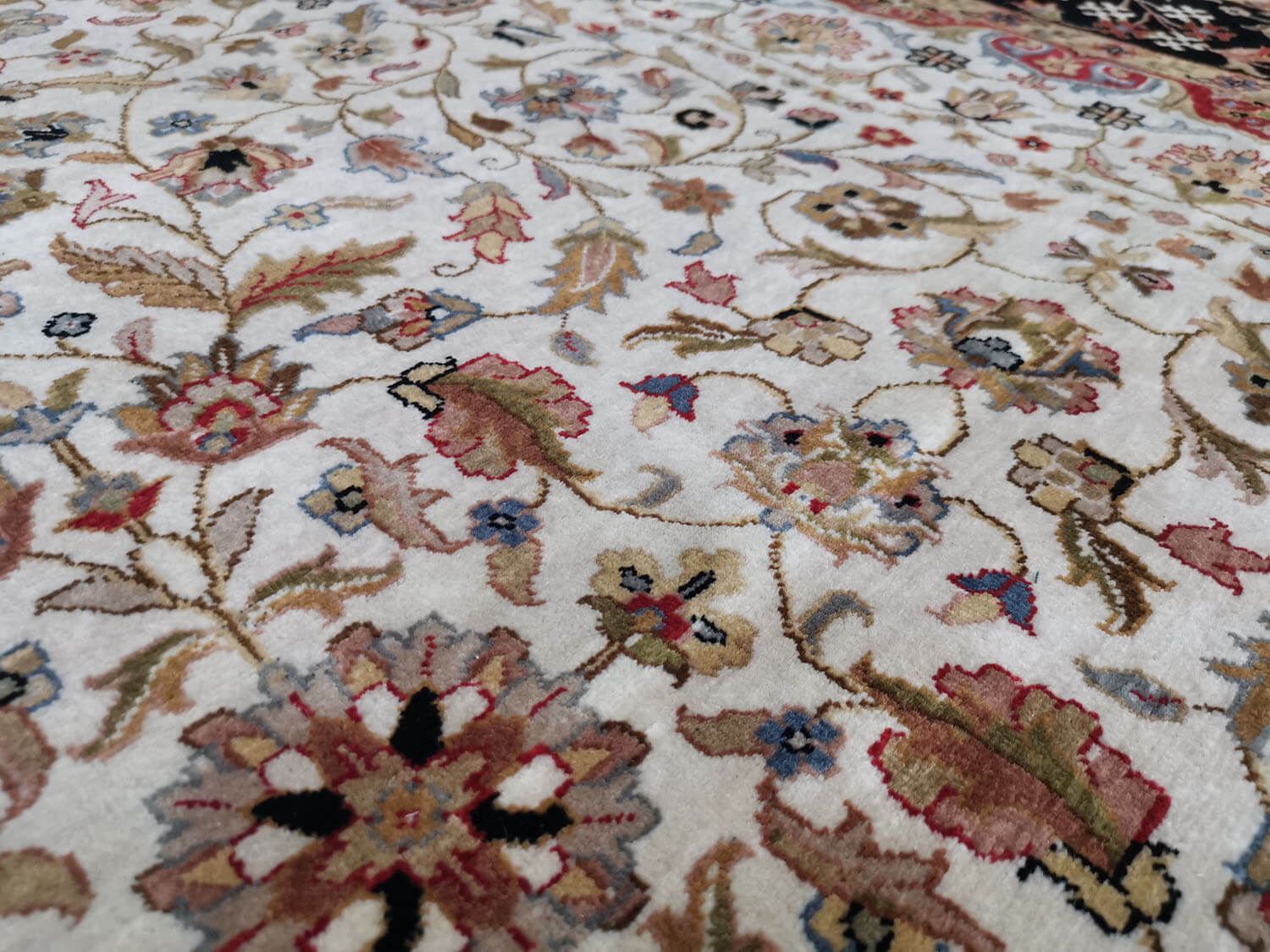 Caral 762 ivory - black