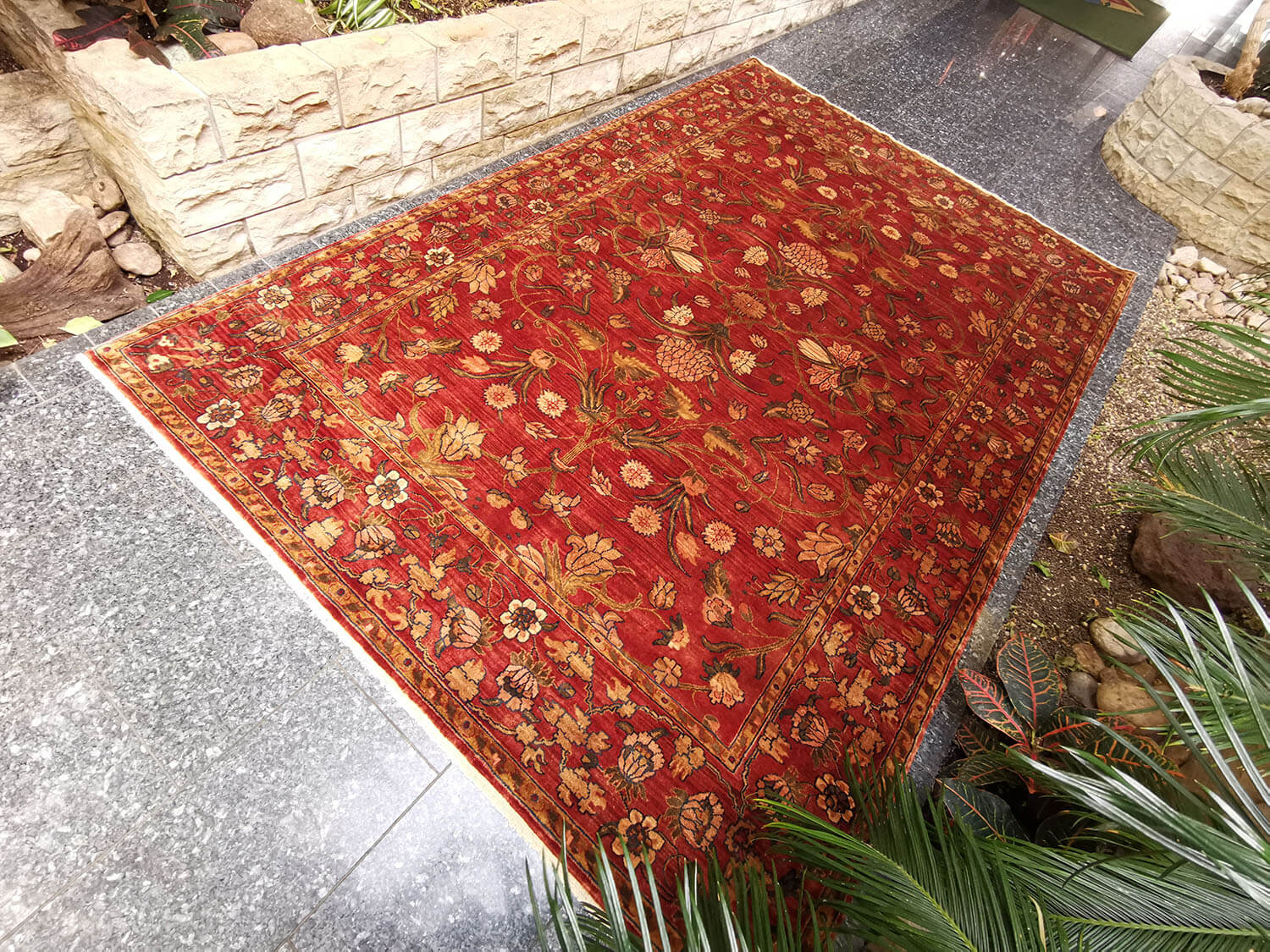 Samarkand Moghal 44 rost