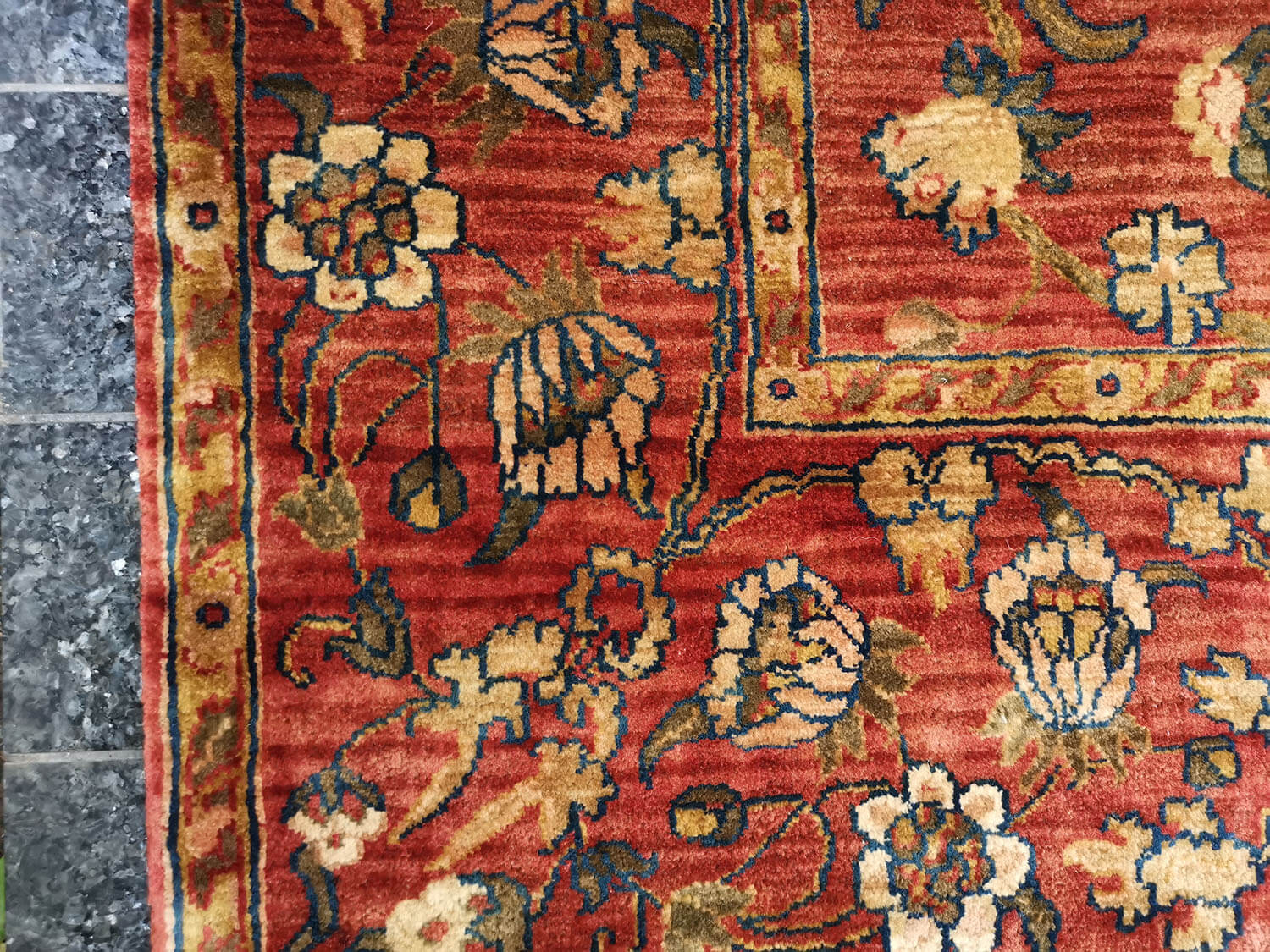 Samarkand Moghal 44 rost