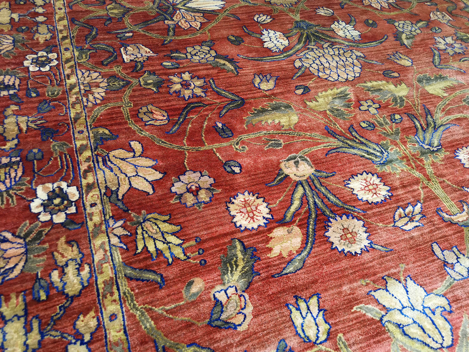 Samarkand Moghal 44 rost