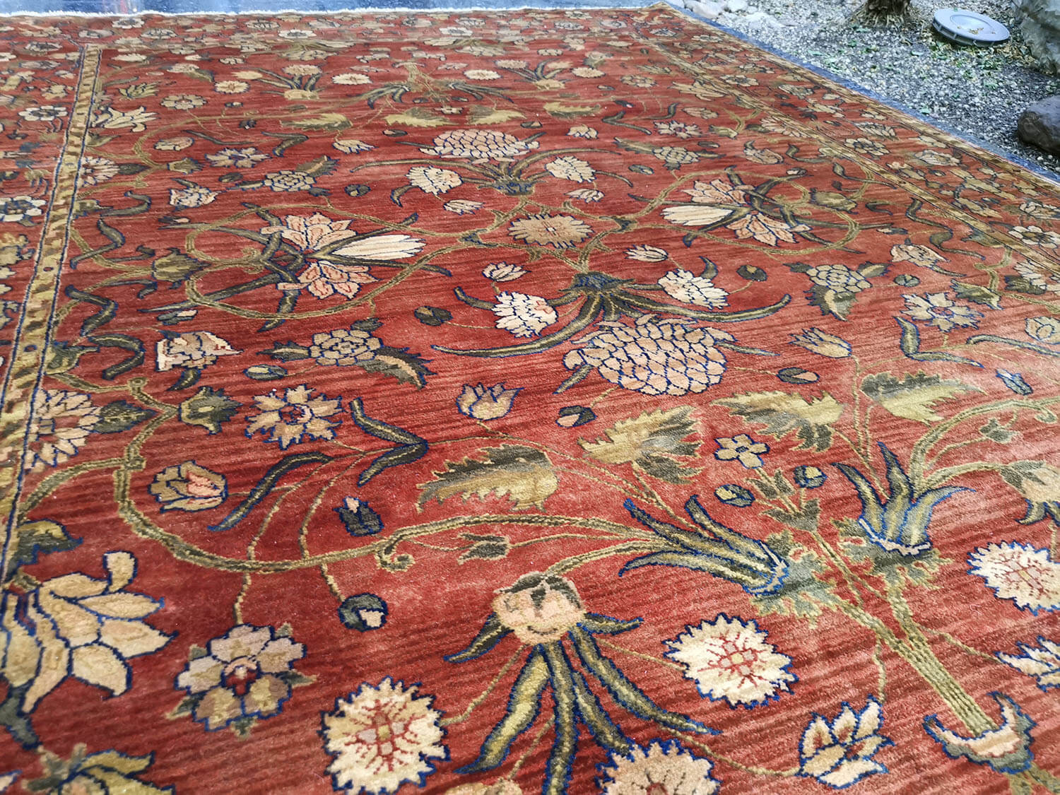 Samarkand Moghal 44 rost