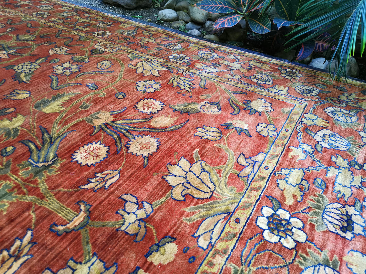 Samarkand Moghal 44 rost