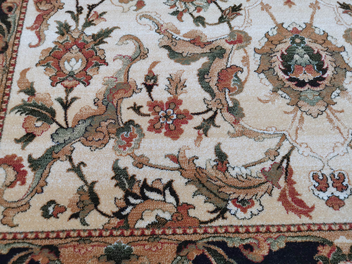 Starosta sahara Agnus