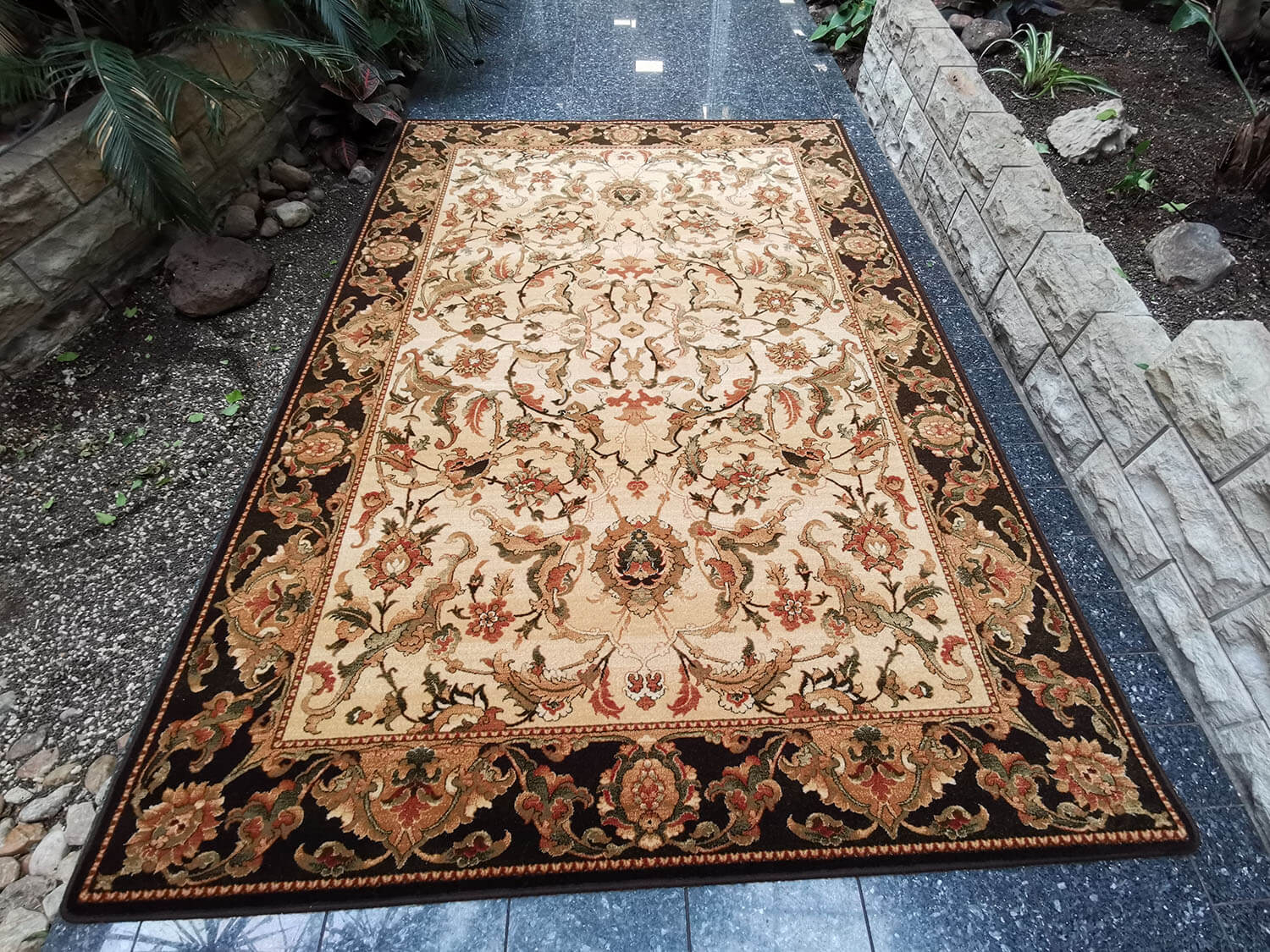 Starosta sahara Agnus