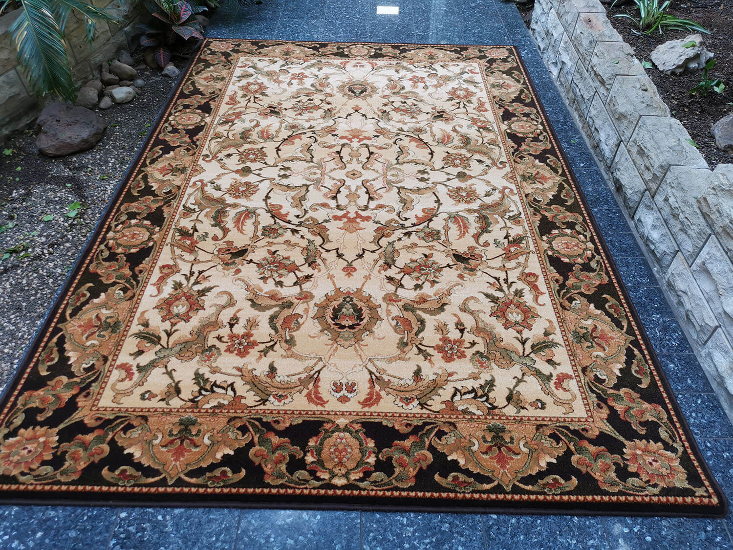 Starosta sahara Agnus