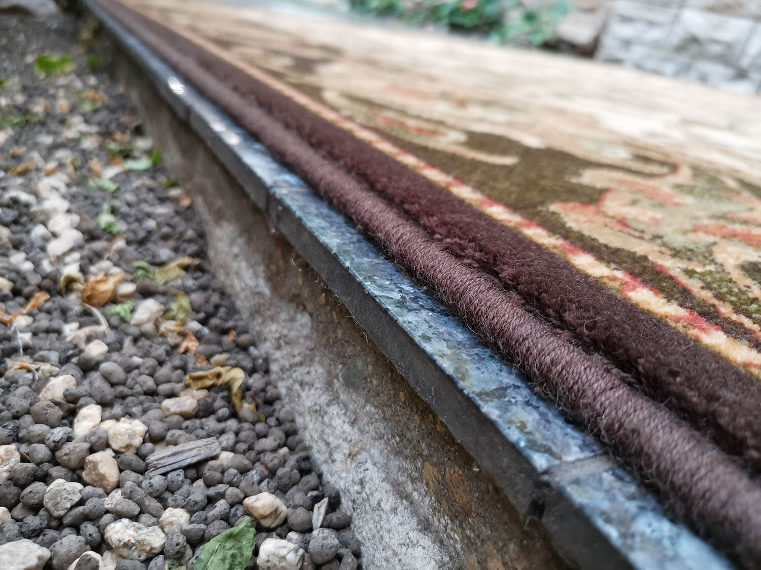 Starosta sahara Agnus