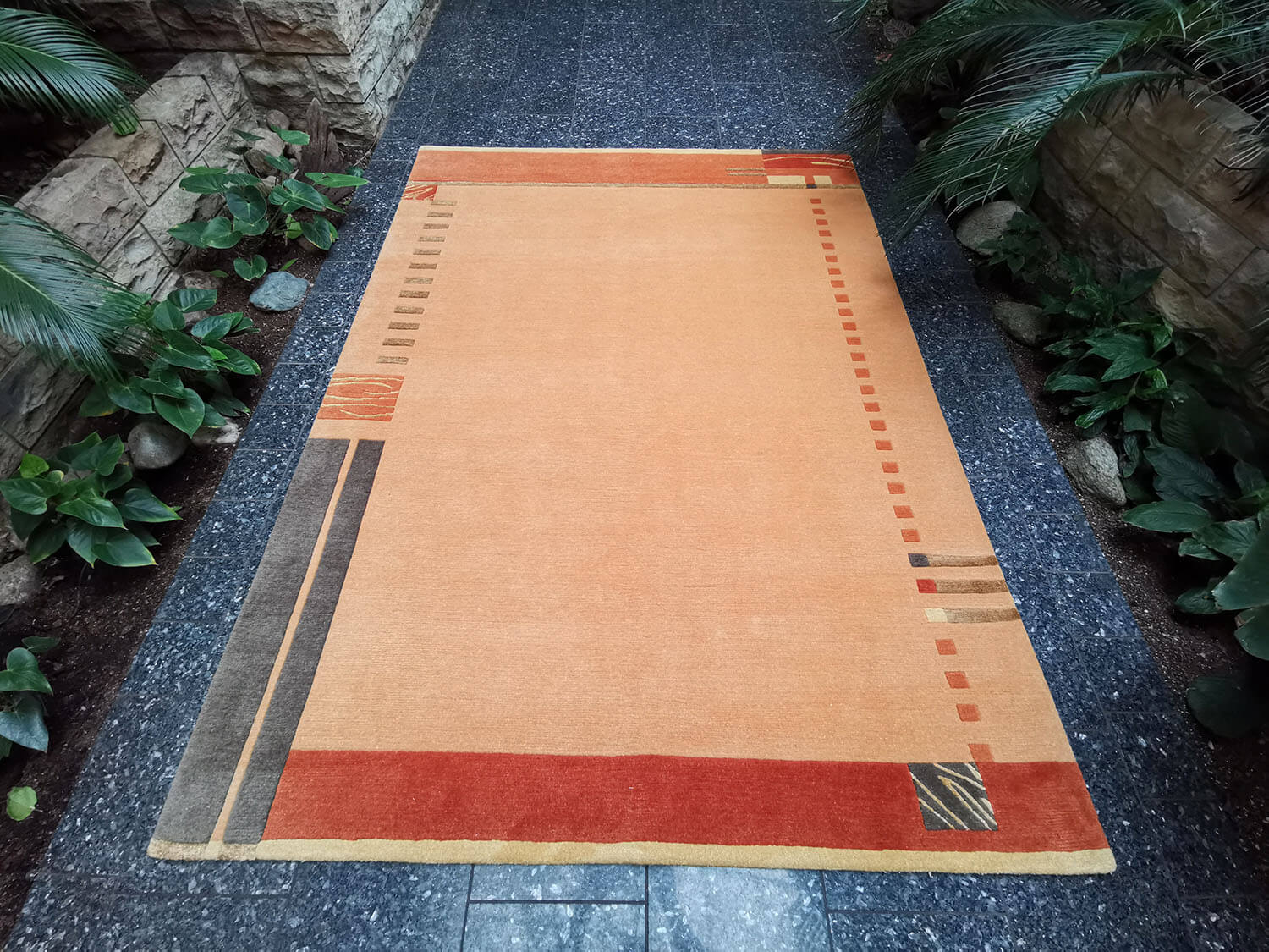 Patana special 793 apricot