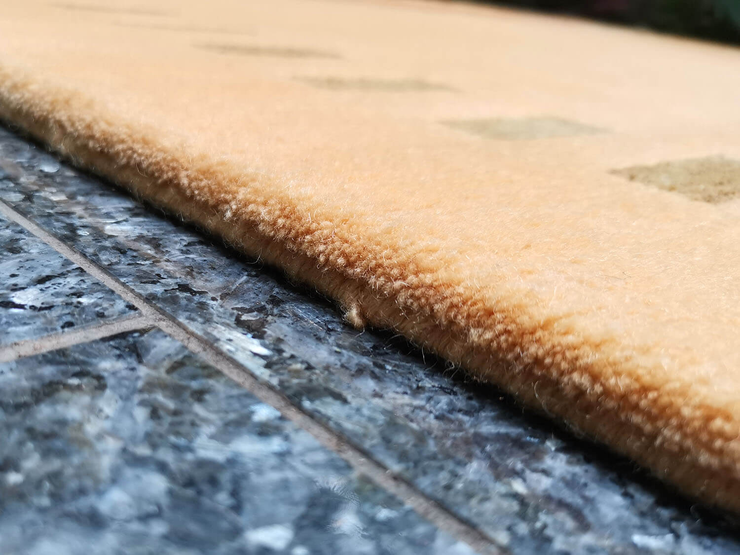 Patana special 793 apricot