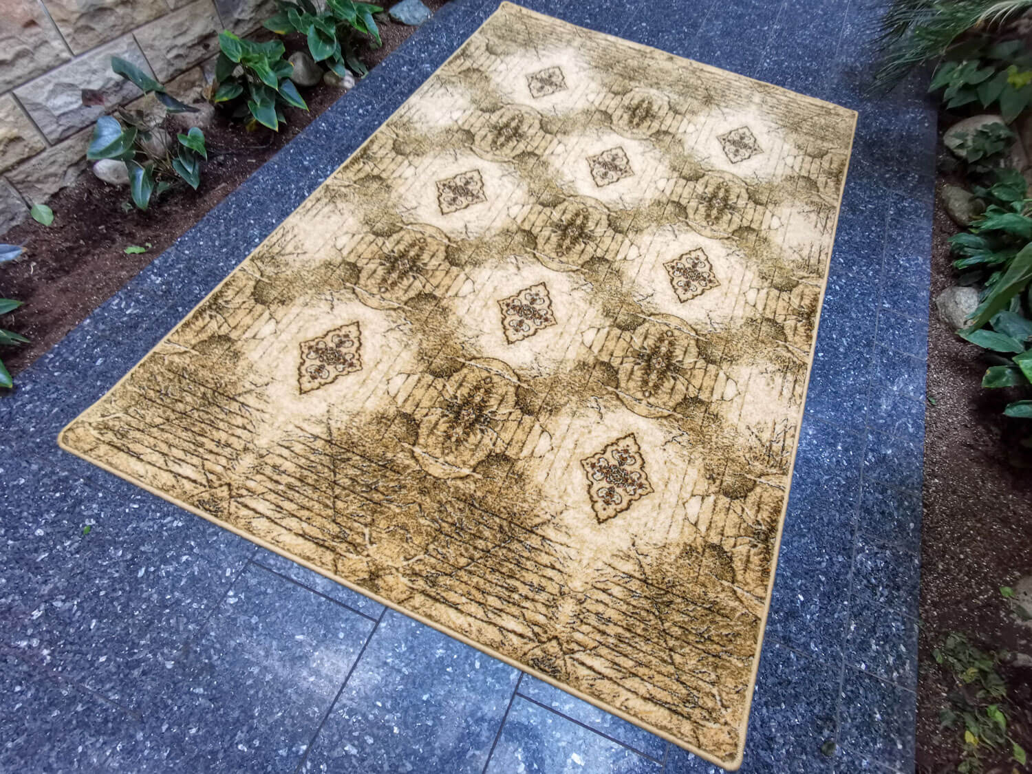 Kalipso olivka Isfahan