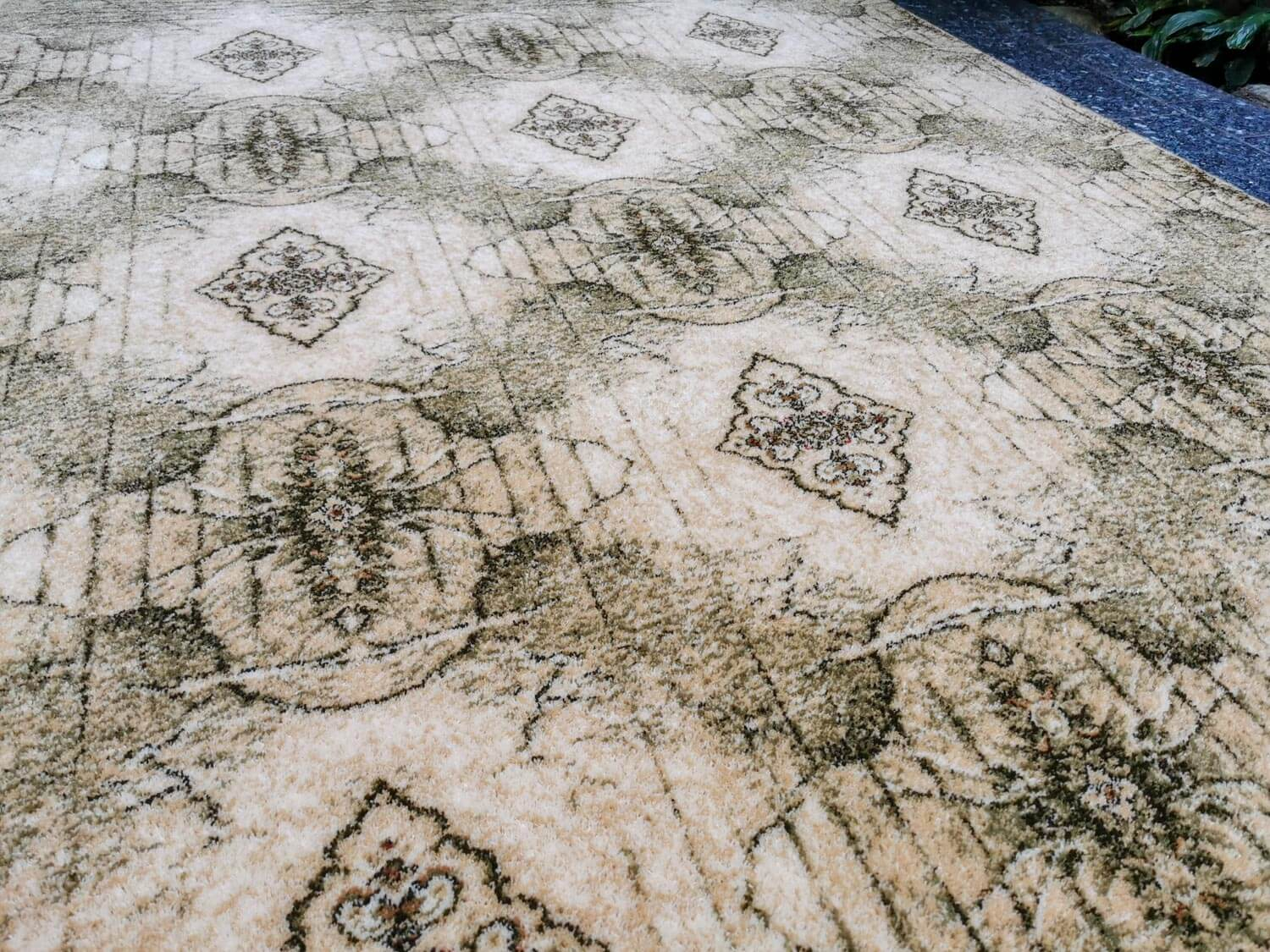 Kalipso olivka Isfahan