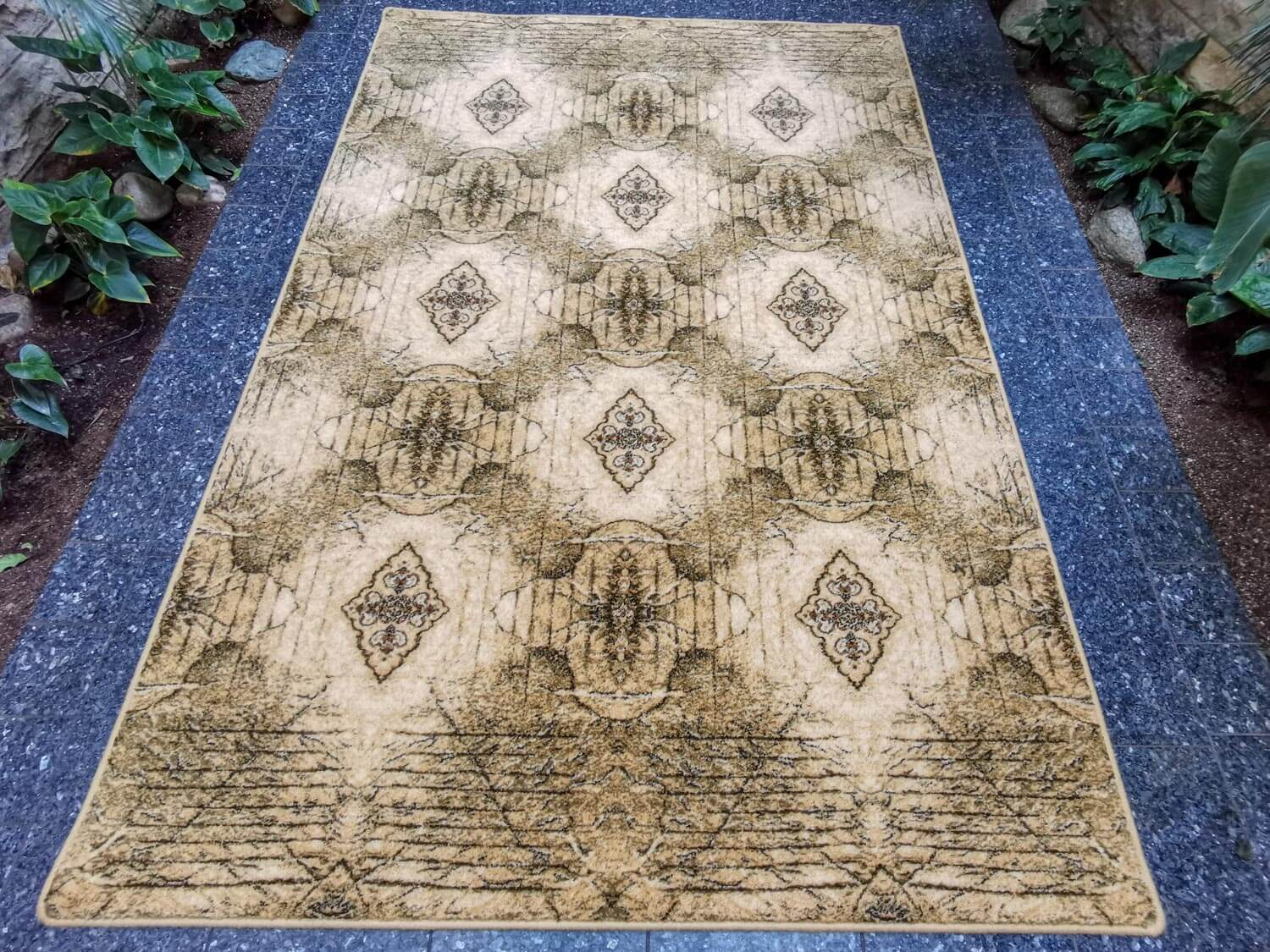 Kalipso olivka Isfahan