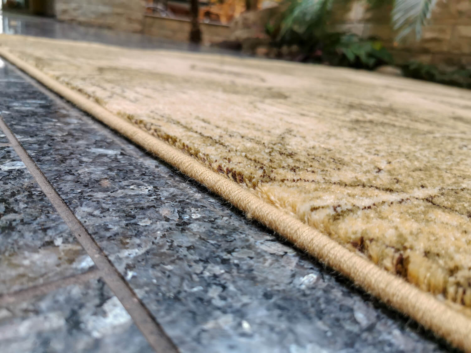 Kalipso olivka Isfahan