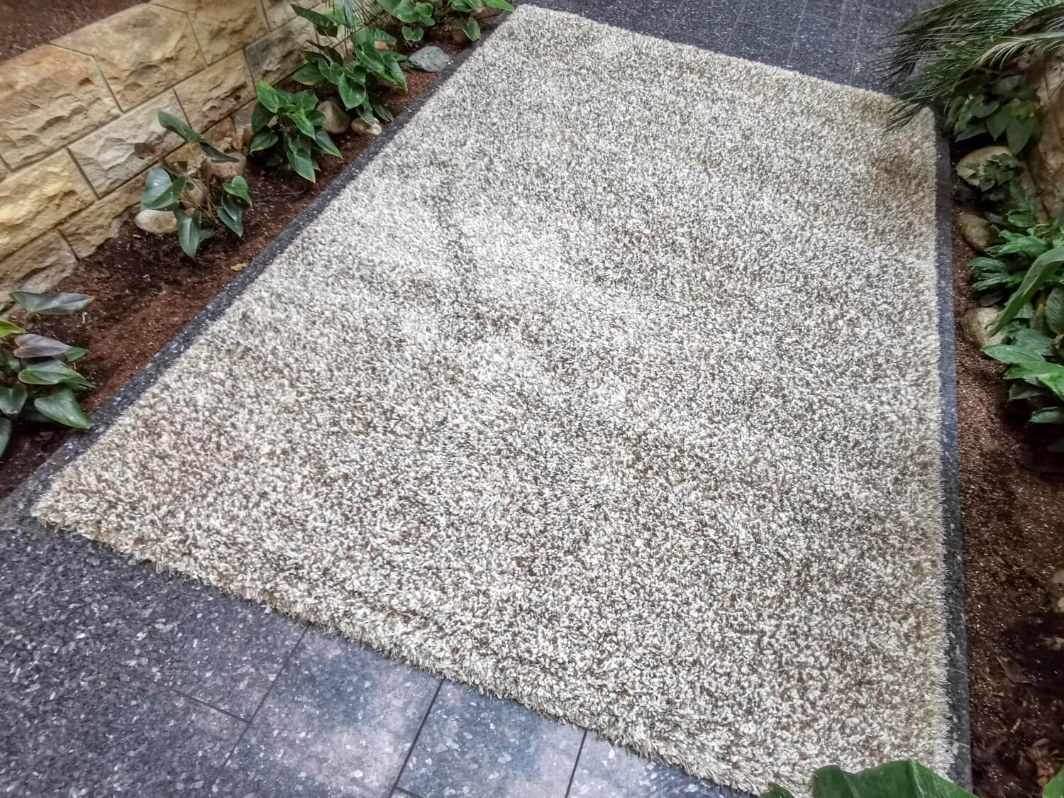 Limelight 22001-6600